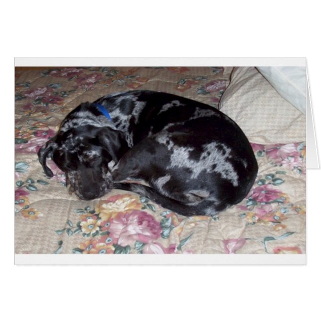 Sweet Dreams (Vorderseite (Horizontal))