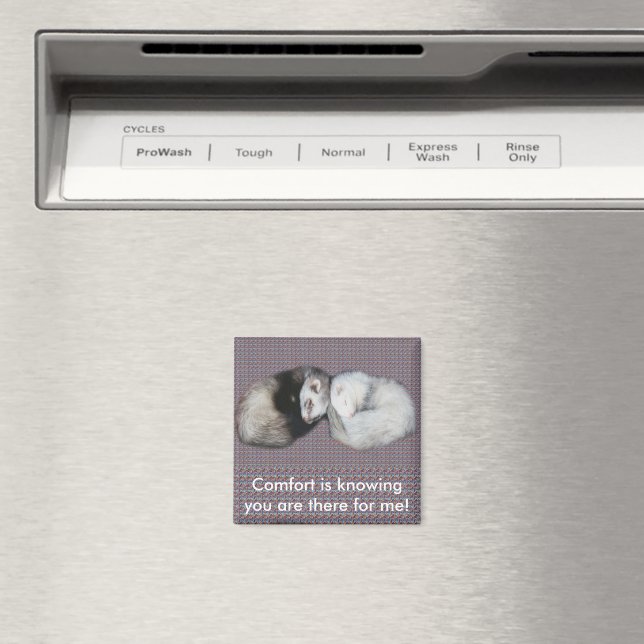 Sweet Dreams Ferrets Magnet (In Situ (Geschirrspüler))