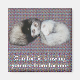 Sweet Dreams Ferrets Magnet