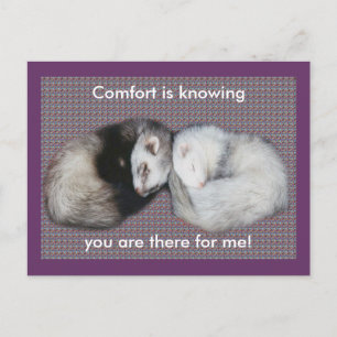 Sweet Dreams Ferrets Postkarte