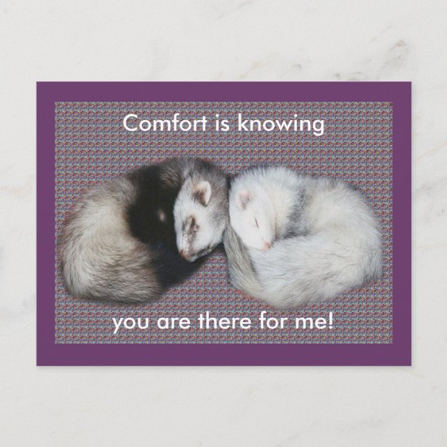 Sweet Dreams Ferrets Postkarte (Vorderseite)
