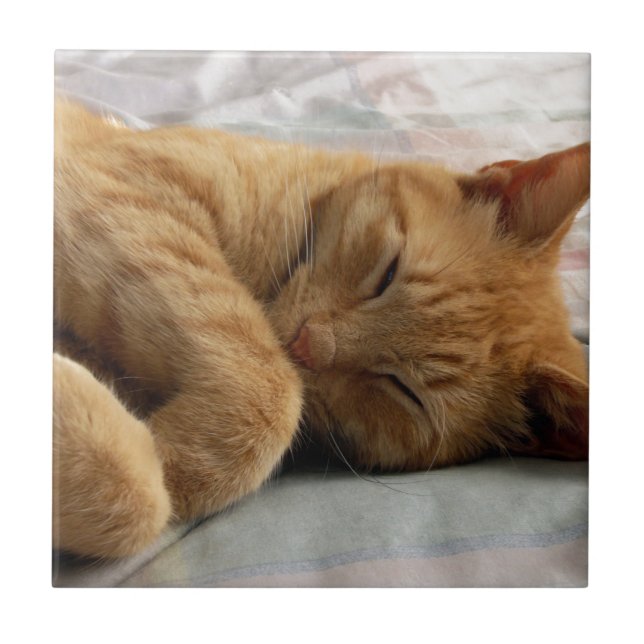 Sweet Dreams Fliese (Vorderseite)