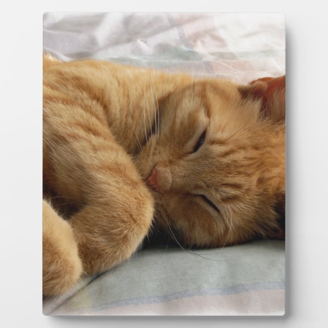 Sweet Dreams Fotoplatte (Vorderseite)