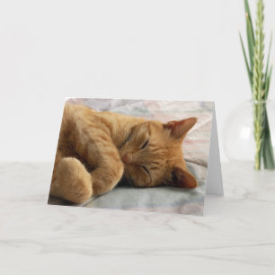 Sweet Dreams Grußkarte Karte