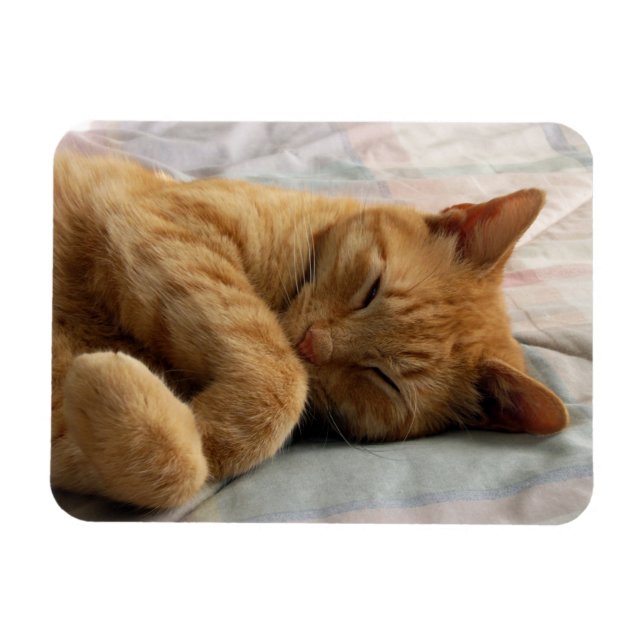 Sweet Dreams Magnet (Horizontal)