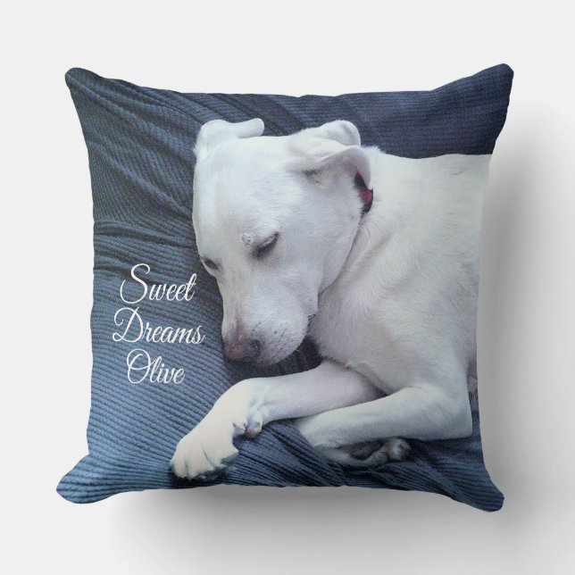 Sweet Dreams Niedlich White Labrador Retriever Mix Kissen (Vorderseite)