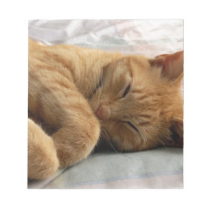 Sweet Dreams Notizblock