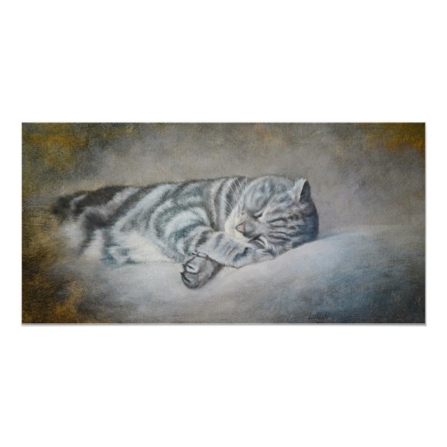 Sweet Dreams of a British Shorthair Poster (Vorderseite)