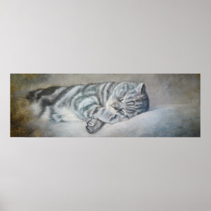 Sweet Dreams of a British Shorthair Poster