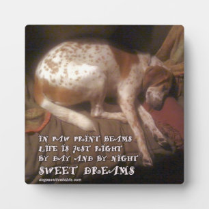 Sweet Dreams Paw Prints Fotoplatte