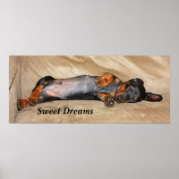 Sweet Dreams
