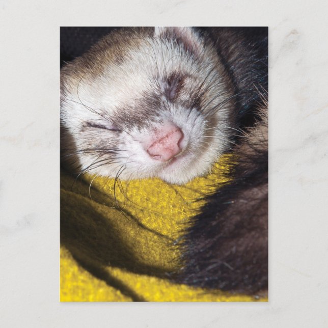 Sweet Dreams Postkarte (Vorderseite)