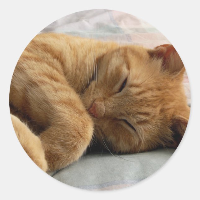 Sweet Dreams Runder Aufkleber (Vorderseite)