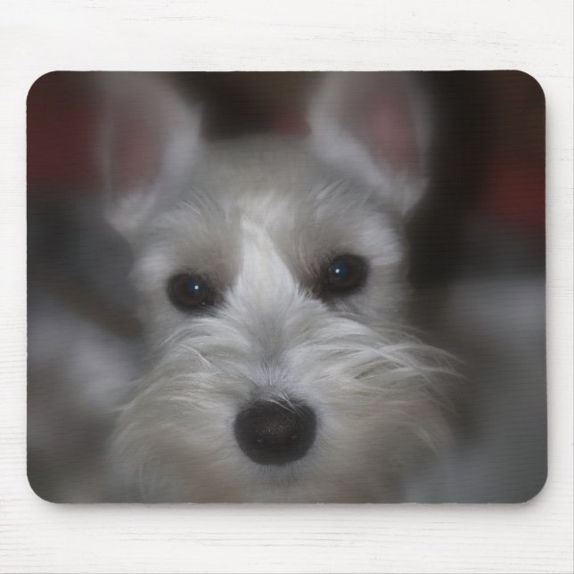 Sweet Face White Schnauzer Puppy Mousepad (Vorne)