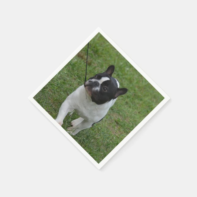 Sweet French Bulldog Serviette (Ecke)
