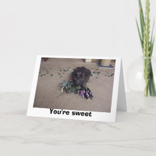 Sweet Friend Dankeskarte