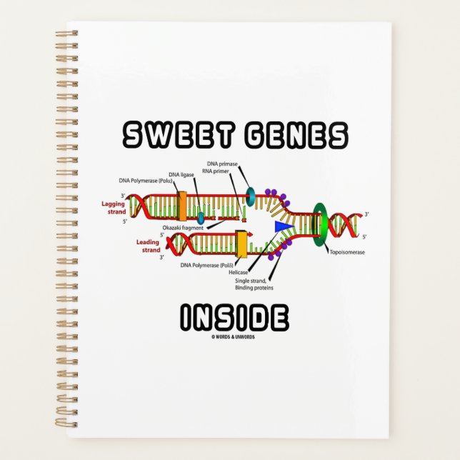 Sweet Genes Inside DNA Replication Spaß Planer (Vorderseite)