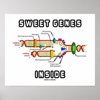 Sweet Genes Inside DNA Replication Spaß Poster