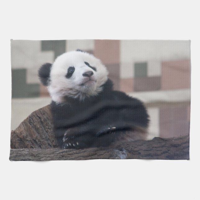 Sweet Giant Panda Baby Handtuch (Horizontal)