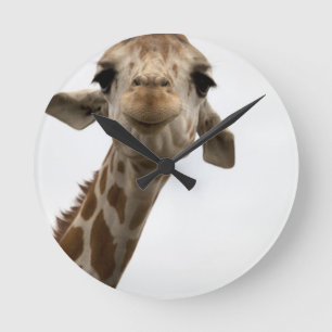 Sweet Giraffe Runde Wanduhr
