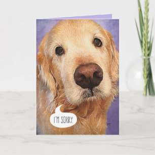 Sweet Golden Retriever I'm Sorry card Karte