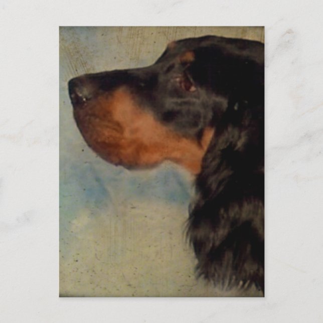 Sweet Gordon Setter Postkarte (Vorderseite)