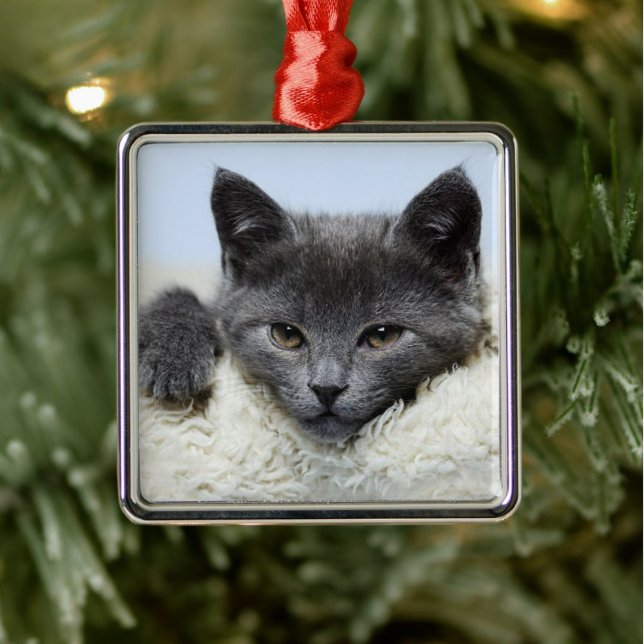 Sweet Gray Cat Face Ornament Aus Metall (Von Creator hochgeladen)