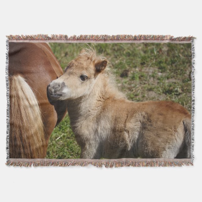 Sweet Haflinger Foal Decke (Vorderseite)