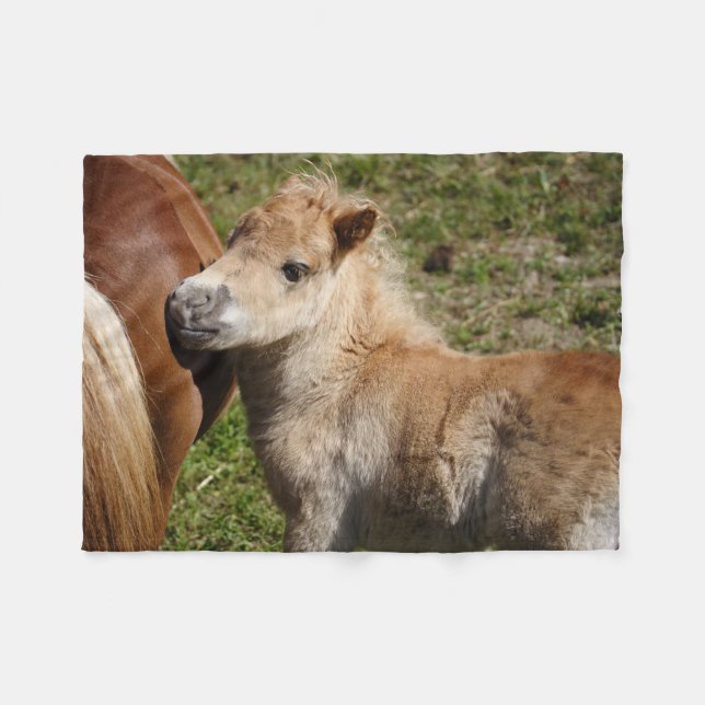 Sweet Haflinger Foal Fleecedecke (Vorderseite (Horizontal))