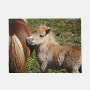 Sweet Haflinger Foal Fußmatte
