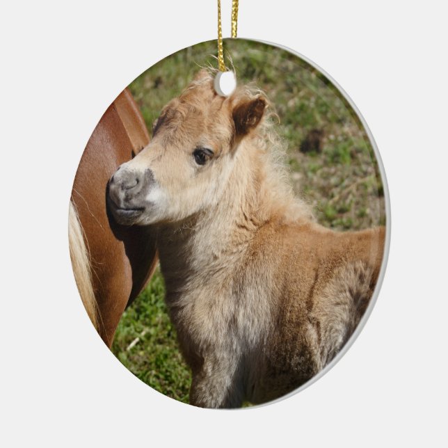 Sweet Haflinger Foal Keramik Ornament (Links)