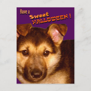 Sweet Halloween Postcard Postkarte