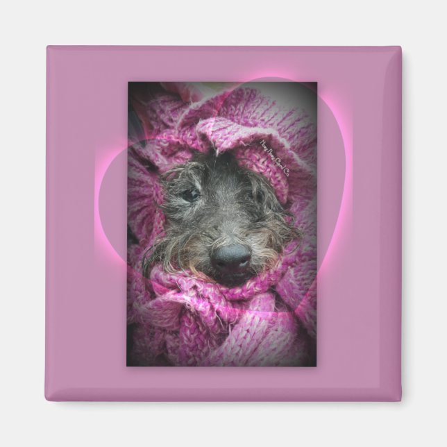 Sweet Heart Magnet (Vorne)