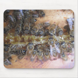 Sweet Honey Bee Mousepad