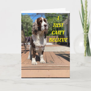 SWEET HUNDEN SAGT GLÜCKLICH 50. GEBURTSTAG! Karte