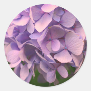 Sweet Hydrangea-Blume Runder Aufkleber