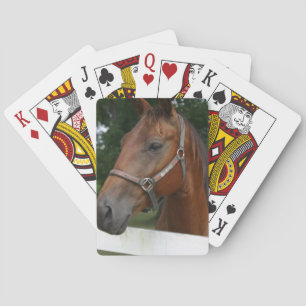 Sweet Kastanienhorse Deck Karten Spielkarten