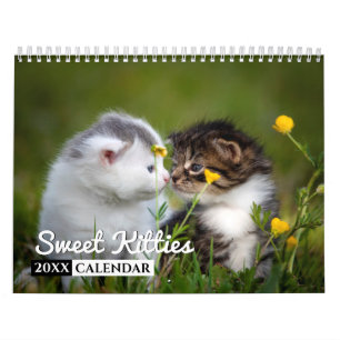 Sweet Kätzchen 2022 Foto Wall Calendar Kalender