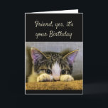 Sweet Kind Kümmern Friend Geburtstag Niedlich Kitt Karte<br><div class="desc">Freunde,  es ist Ihre Geburtstagsfreunde so süß und gekümmert wie Sie schwer zu finden.  Ich bin so froh,  dass wir uns gefunden haben.   Habe einen glücklichen Geburtstag!   Niedliches Kätzchen schaut raus.</div>