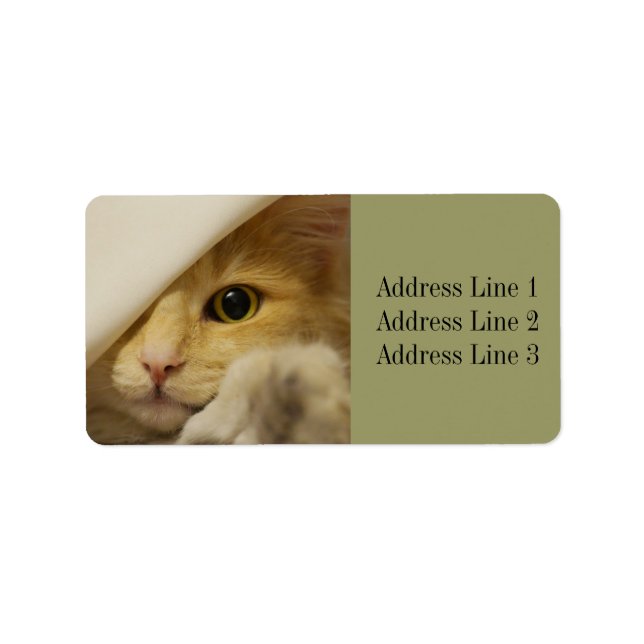 Sweet Kitten / Cat Foto Address Label Adressaufkleber (Vorne)