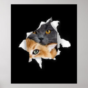 Sweet Kitten Couple Funny Cat Lover Geschenk Poster