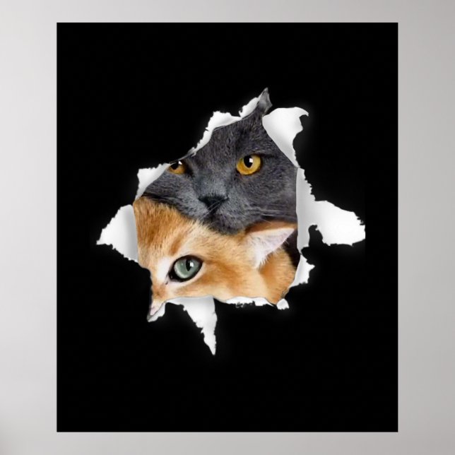 Sweet Kitten Couple | Funny Cat Lover Geschenk Poster (Vorne)
