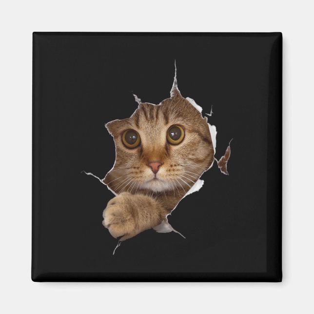 Sweet Kitten Torn Cloth - Funny Cat Lover Cat Owne Magnet (Vorne)