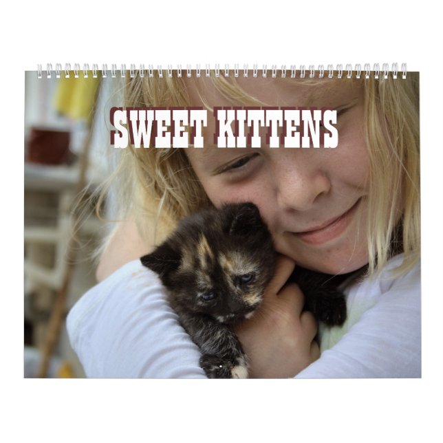 Sweet Kittens 2024 Katzen Kalender (Titelbild)