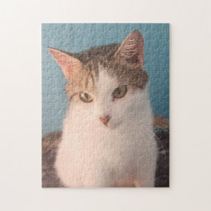 Sweet Kitty Jigsaw Puzzle
