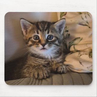Sweet kitty mousepad