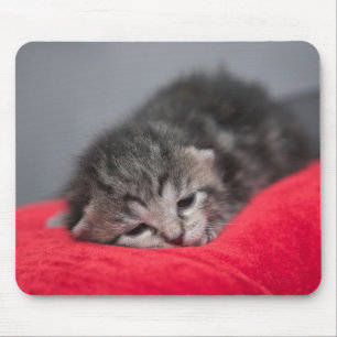 Sweet kitty mousepad