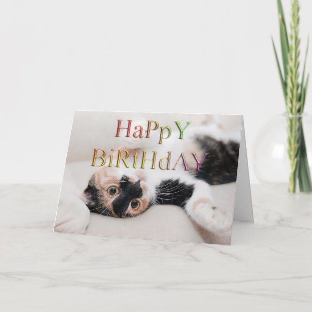 Sweet kitty zum Geburtstag Karte (Vorderseite)