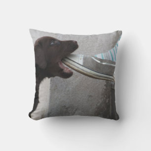 Sweet Labrador Puppy Gnawing auf einem Schuhwerk Kissen