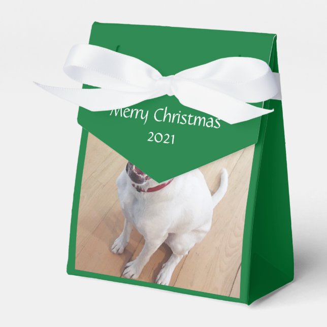 Sweet Lächeln Weißer Rentier Hund Weihnachten Grün Geschenkschachtel (Vorderseite)